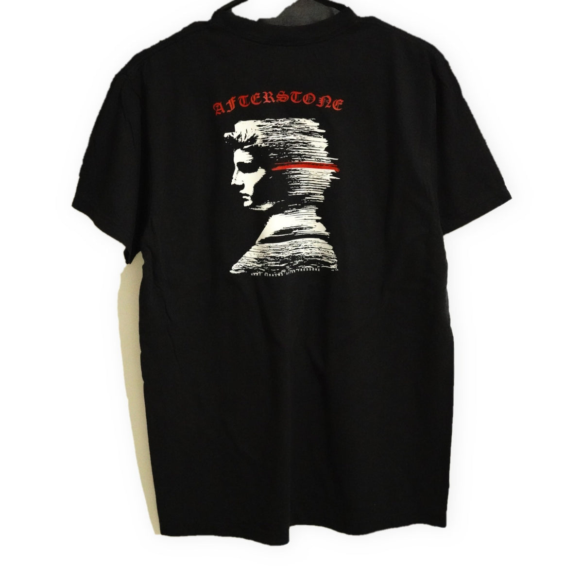 AFTERSTONE STRATUM HEAD heavyweight tee in black — head dissolving into rock strata with a red line, printed large on the back