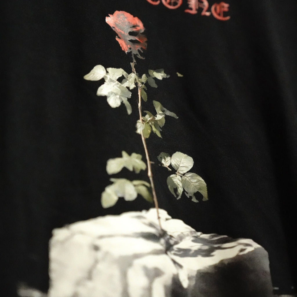 GREW ANYWAY back print detail — red rose out of cracked stone